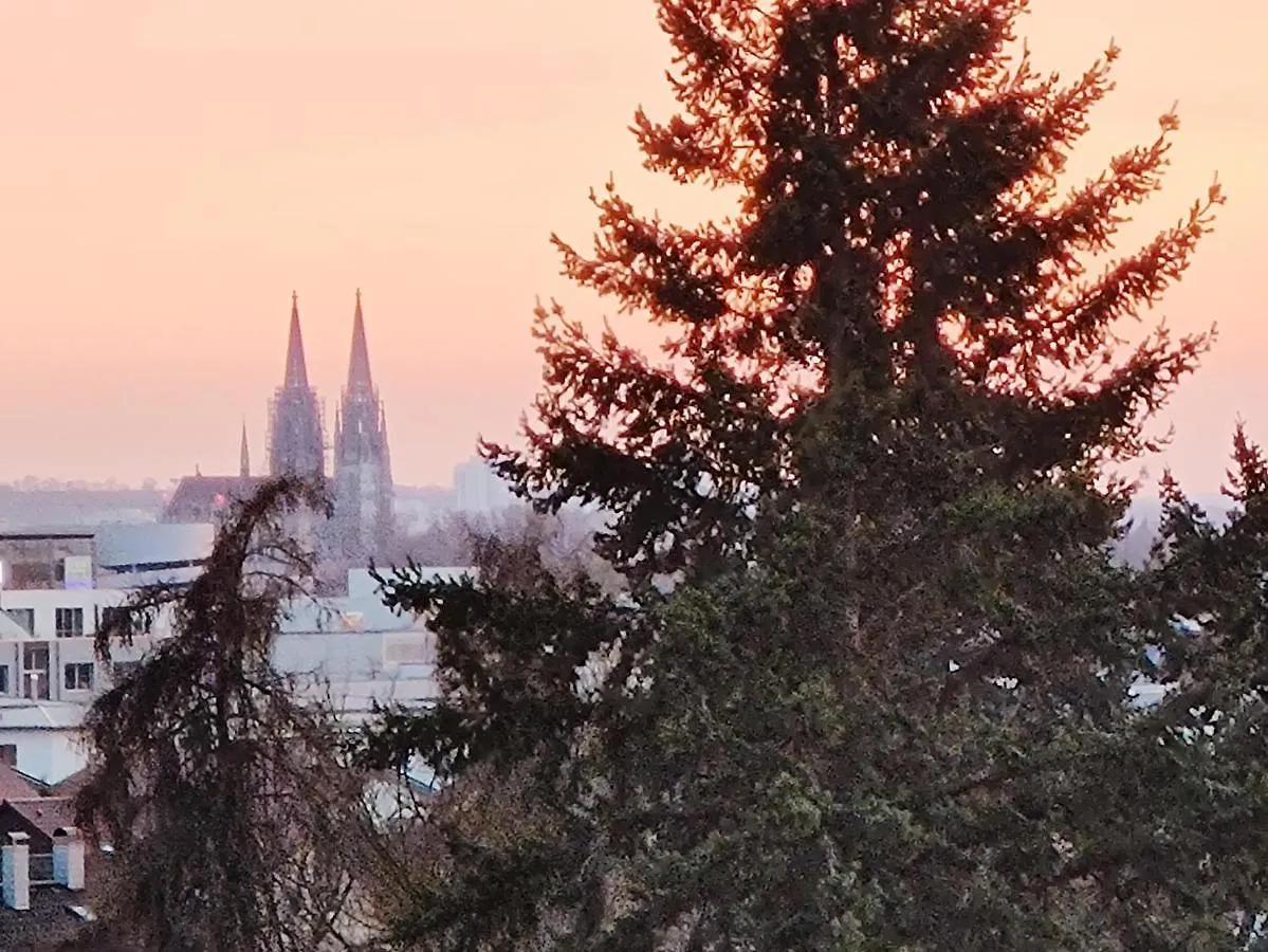 Domblick Regensburg Lejlighed